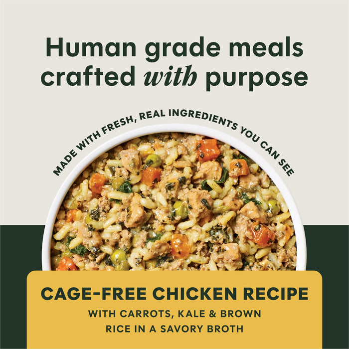 Instinct Freshly Crafted Meals Cage-Free Chicken Recipe dog 11 oz. product benefits and recipe information