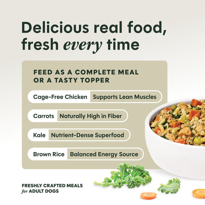 Instinct Freshly Crafted Meals Cage-Free Chicken Recipe dog 11 oz. product benefits and recipe information