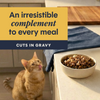 Instinct Healthy Cravings Toppers Real Chicken Recipe cat 3 oz. product benefits and recipe information