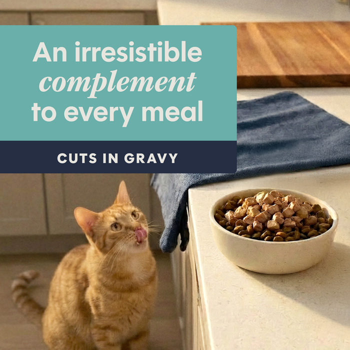 Instinct Healthy Cravings Toppers Real Tuna Recipe cat 3 oz. product benefits and recipe information