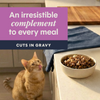Instinct Healthy Cravings Toppers Real Rabbit Recipe cat 3 oz. product benefits and recipe information