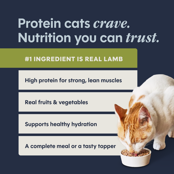 Instinct Original Patés Real Lamb Recipe cat 3 oz. product benefits and recipe information