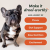 Instinct RawBoost+ Shakers Gut Health Recipe dog 5.5 oz. product benefits and recipe information