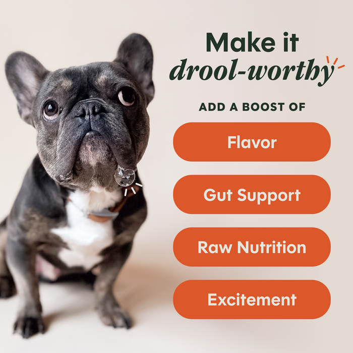 Instinct RawBoost+ Shakers Gut Health Recipe dog 5.5 oz. product benefits and recipe information