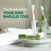 Greenies Original Regular Natural Dog Dental Care Chews Oral Health Dog Treats.