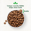Greenies Smart Essentials Adult High Protein Real Chicken & Rice Recipe Dry Dog Food