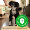 Greenies Smart Essentials Adult High Protein Real Chicken & Rice Recipe Dry Dog Food