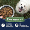 Canidae PURE Limited Ingredient Salmon Grain-Free Dog Food – Sensitive Digestion Formula
