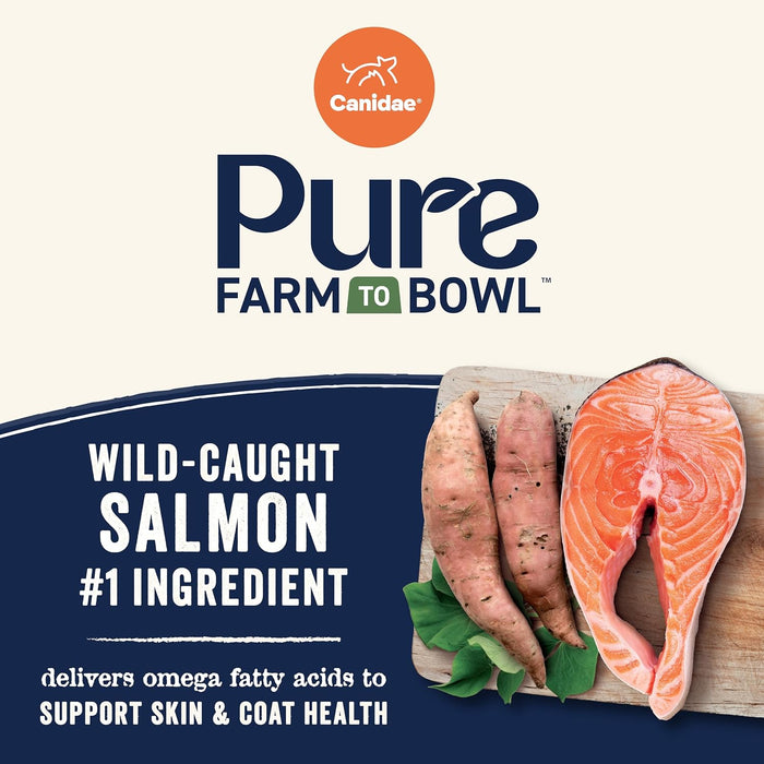 Canidae PURE Limited Ingredient Salmon Grain-Free Dog Food – Sensitive Digestion Formula