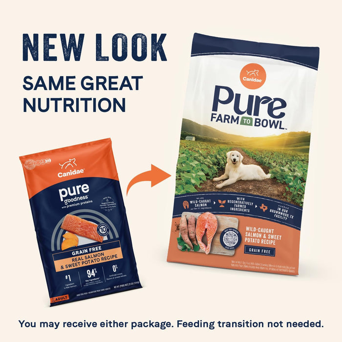 Canidae PURE Limited Ingredient Salmon Grain-Free Dog Food – Sensitive Digestion Formula