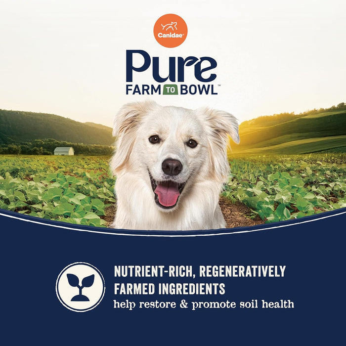 Canidae PURE Limited Ingredient Salmon Grain-Free Dog Food – Sensitive Digestion Formula