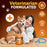 Artullano Advanced Pumpkin Powder for Dogs, 16 oz