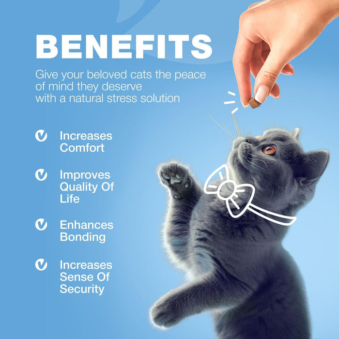 Chewia Hemp Calming Soft Chews for Cats, Chicken Flavor, 140 Count