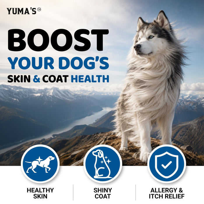 YUMA'S Omega-3 Fish Oil Soft Chews for Dogs, Chicken Flavor, 2-Pack, 340 Count