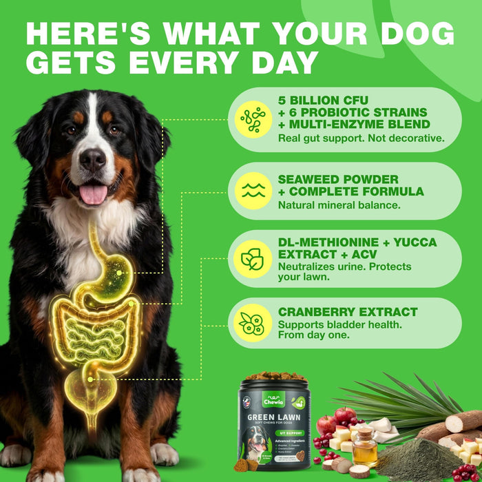 Chewia Green Lawn Soft Chews for Dogs, Duck Flavor, 180 Count