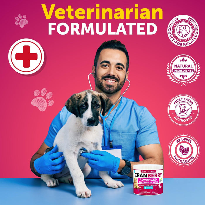 Artullano Cranberry Urinary Support Soft Chews for Dogs, Duck Flavor, 2-Pack, 240 Total