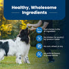 Blue Buffalo Life Protection Dog Food – Natural Ingredients, Balanced Nutrition