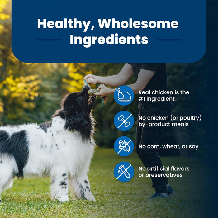 Blue Buffalo Life Protection Dog Food – Natural Ingredients, Balanced Nutrition