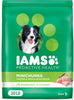 IAMS Proactive Health Minichunks Adult Dry Dog Food with Real Chicken