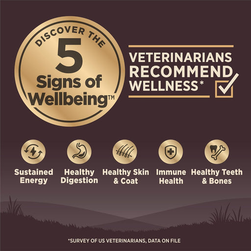 Wellness CORE Grain-Free Turkey & Chicken Dry Dog Food – High Protein Natural Recipe