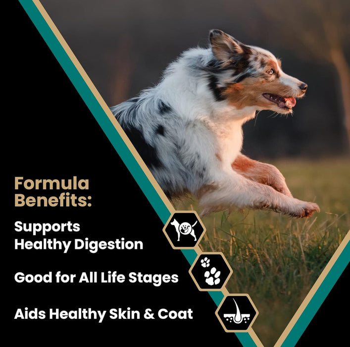 VICTOR Super Premium Dog Food – Select Ocean Fish Formula with Salmon – Omega-3 and Omega-6 Enriched Gluten-Free Dry Kibble for All Normally Active Dogs of All Life Stages.