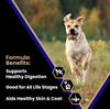 VICTOR Super Premium Dog Food – Select Beef Meal & Brown Rice Formula for Immune and Gut Health – Gluten-Free Beef Meal Dry Dog Food for All Normally Active Dogs of All Life Stages