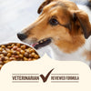 Nutrish Dry Dog Food, Real Beef, Pea & Brown Rice Recipe Whole Health Blend for Adult Dogs (Rachael Ray)
