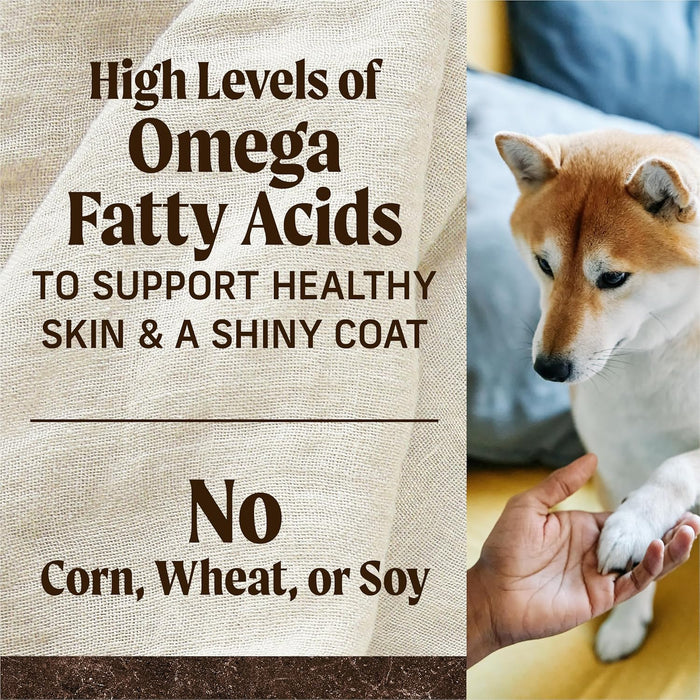 Merrick Premium Grain Free Dry Adult Dog Food, Wholesome And Natural Kibble With Real Salmon And Sweet Potato