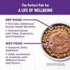 Wellness Complete Health Cat Food Balanced Nutrition Natural Ingredients