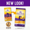 Wellness Complete Health Cat Food Balanced Nutrition Natural Ingredients