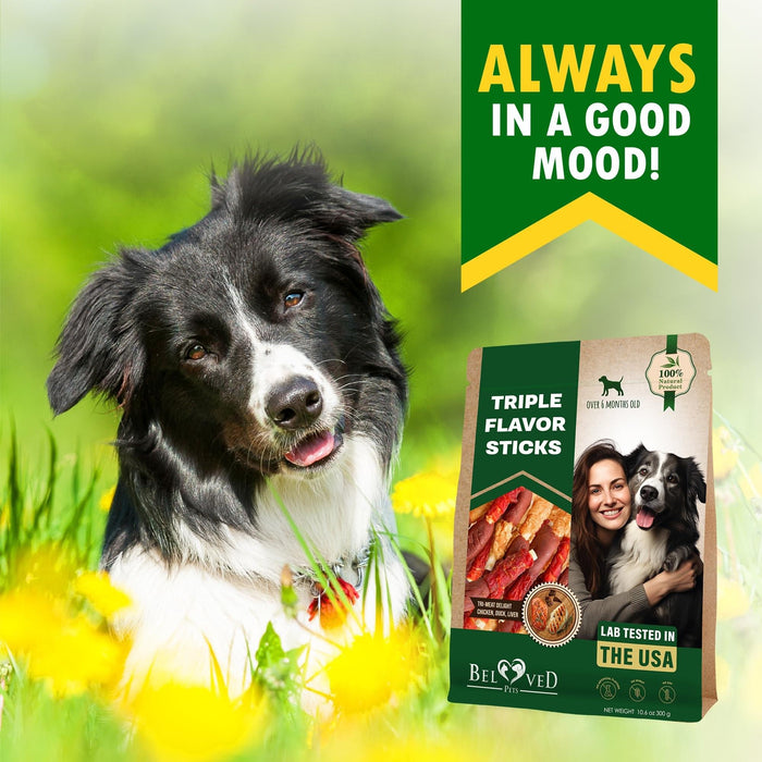 Beloved Pets Triple Flavor Rawhide Dog Chew Sticks, 10.6 oz