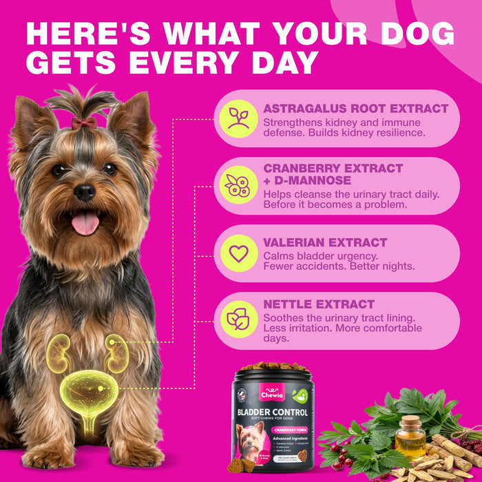 Chewia Cranberry Bladder Control Soft Chews for Dogs, Duck Flavor, 180 Count