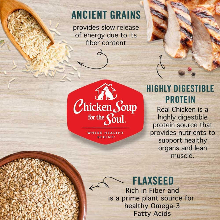 Chicken Soup for the Soul Adult Chicken, Turkey & Duck Recipe Canned Dog Food