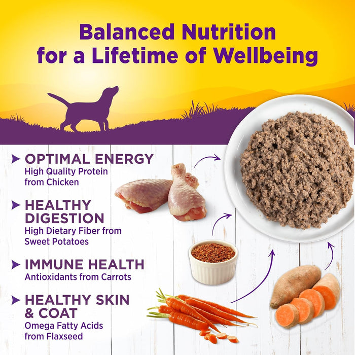 Wellness Complete Health Chicken & Sweet Potato Recipe Wet Dog Food