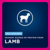 Eukanuba Adult Large Breed Lamb Dry Dog Food, 33-lb Bag
