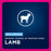 Eukanuba Adult Large Breed Lamb Dry Dog Food, 33-lb Bag