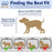 MidWest Spree 19-Inch Hard-Sided Pet Carrier for Dogs & Cats – Blue