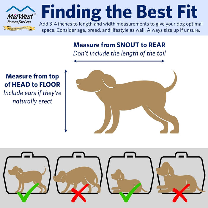 MidWest Spree 19-Inch Hard-Sided Pet Carrier for Dogs & Cats – Blue