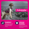 Eukanuba Senior Medium Breed Chicken Dry Dog Food
