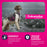 Eukanuba Senior Medium Breed Chicken Dry Dog Food