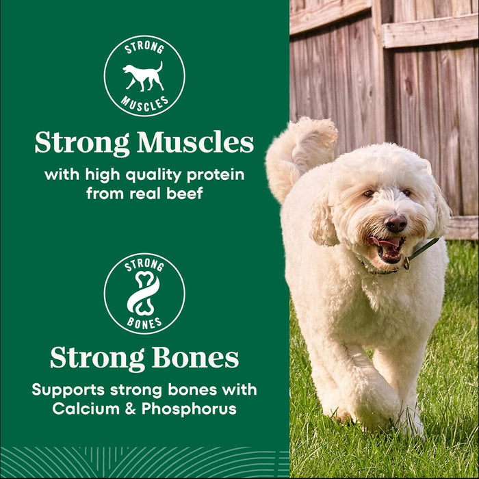 Nutro Wholesome Essentials Adult Chicken & Brown Rice Dry Dog Food