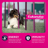 Eukanuba Adult Small & Medium Breed Lamb Meal Dry Dog Food