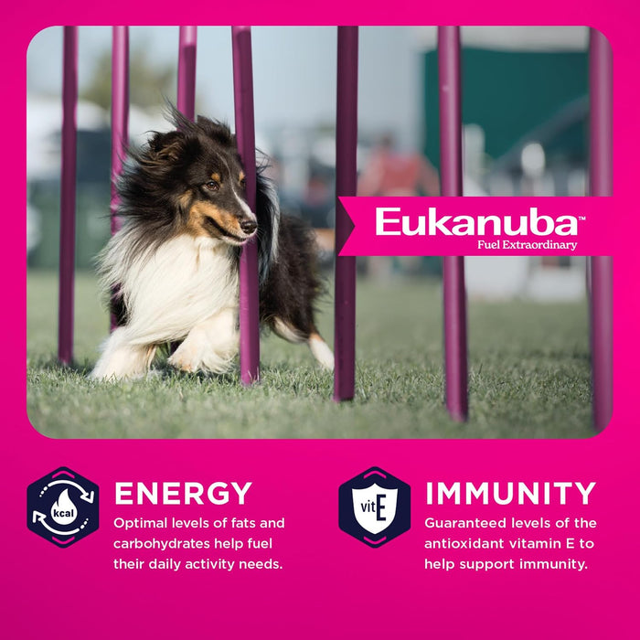 Eukanuba Adult Small & Medium Breed Lamb Meal Dry Dog Food