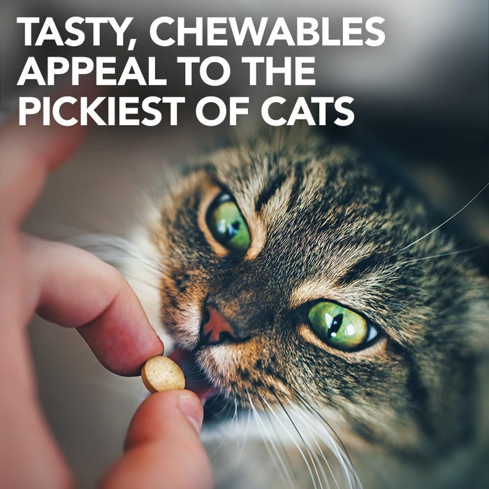 Vet's Best Urinary Tract Support Cat Supplement