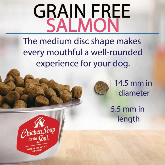 Chicken Soup for the Soul Grain Free Salmon & Sweet Potato Dry Dog Food