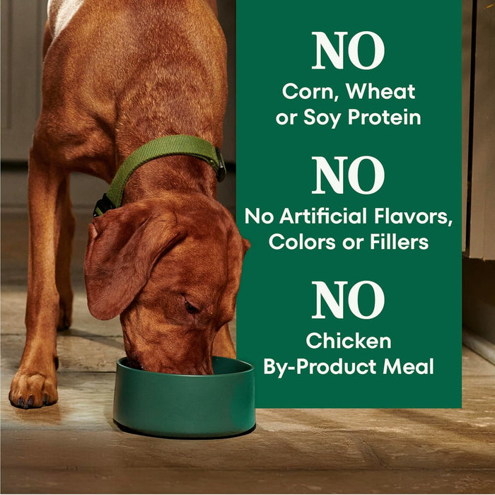Nutro Natural Choice Adult Large Breed Chicken & Brown Rice Dry Dog Food