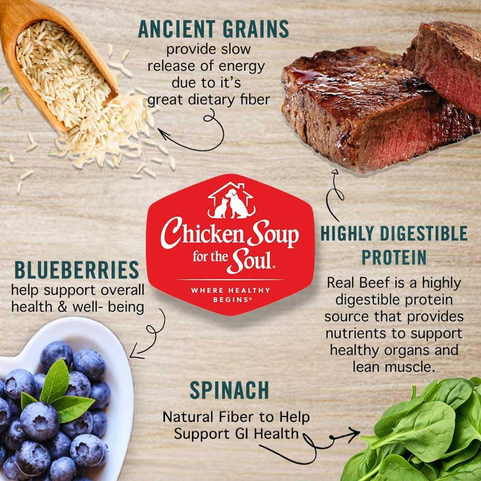 Chicken Soup for the Soul Adult Beef & Brown Rice Recipe Dry Dog Food
