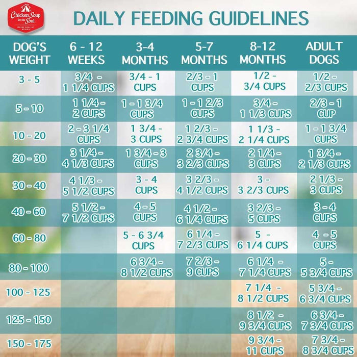Chicken Soup for the Soul Grain Free Salmon & Sweet Potato Dry Dog Food
