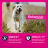 Eukanuba Adult Large Breed Lamb Dry Dog Food, 33-lb Bag