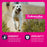 Eukanuba Adult Large Breed Lamb Dry Dog Food, 33-lb Bag